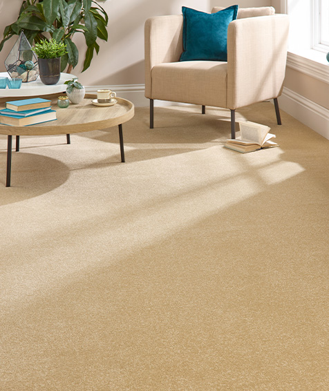 Soft carpet in a bright, comfortable living room